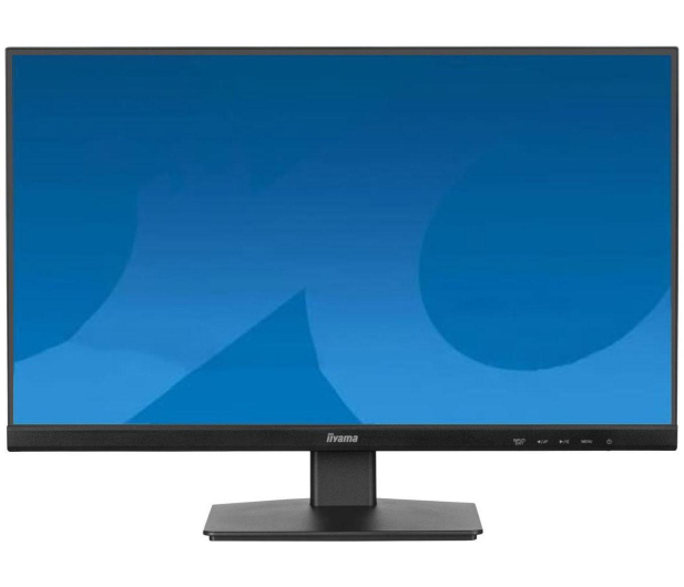 iiyama ProLite XU2491H-B1 - 1293311 - zdjęcie